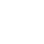 BAS inverse monochrome roundel